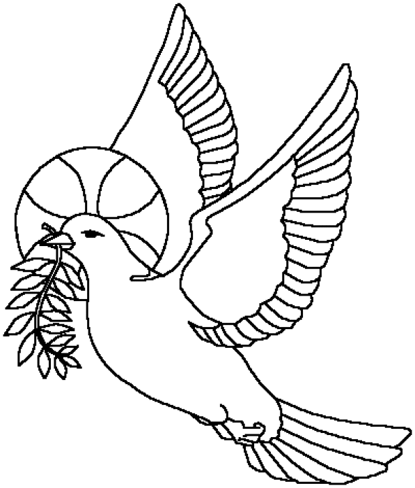 coloriage à dessiner de pigeon gratuit