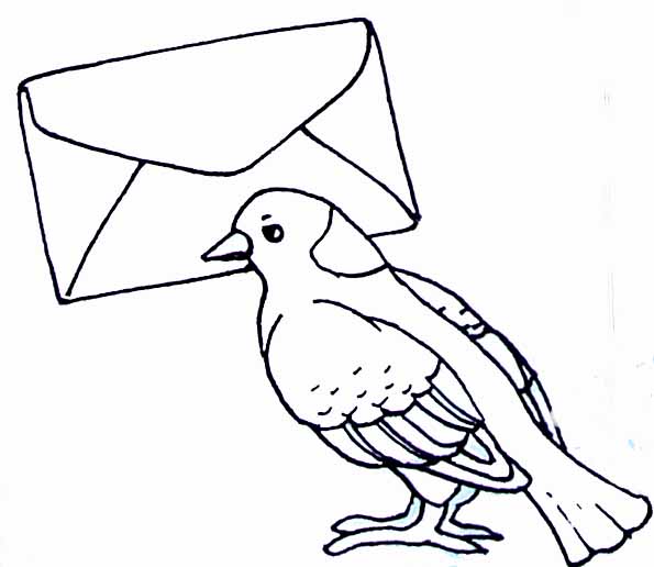 dessin vaillant pigeon de combat