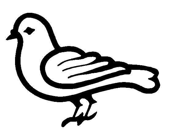 dessin à colorier d'un pigeon