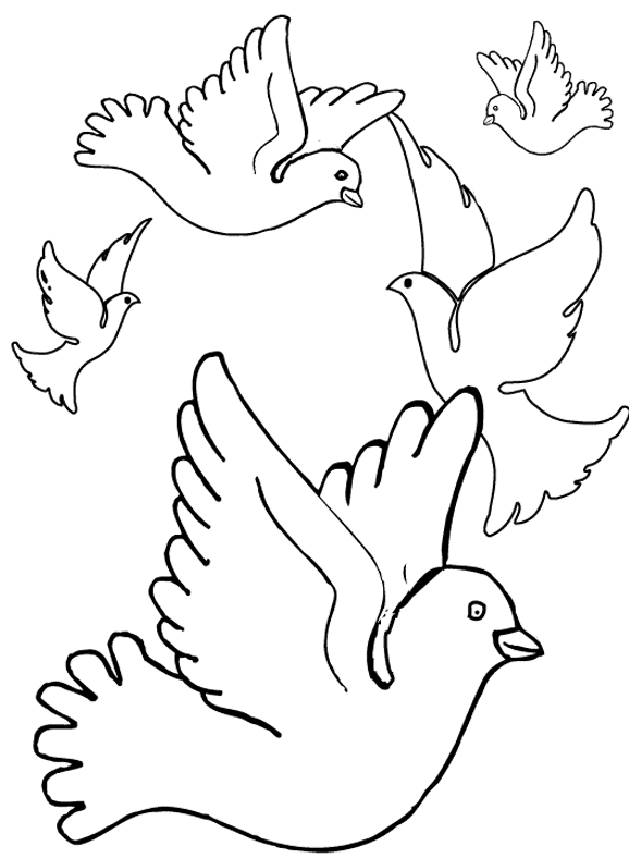 coloriage à dessiner pigeon ramier