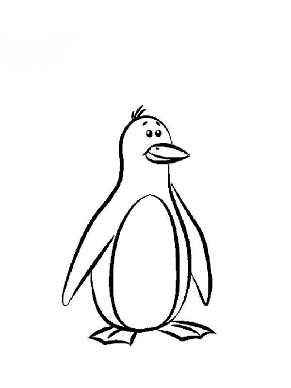 dessin pingouin gratuit imprimer