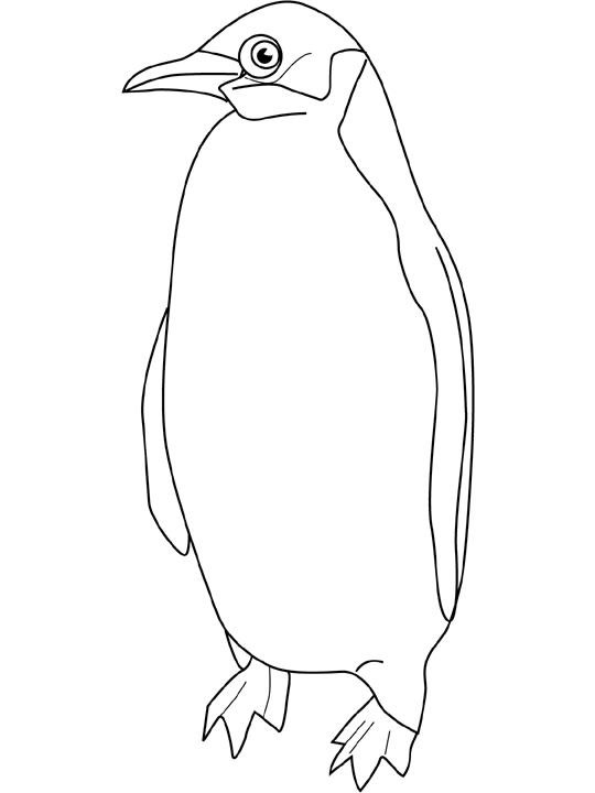 coloriage codé pingouin
