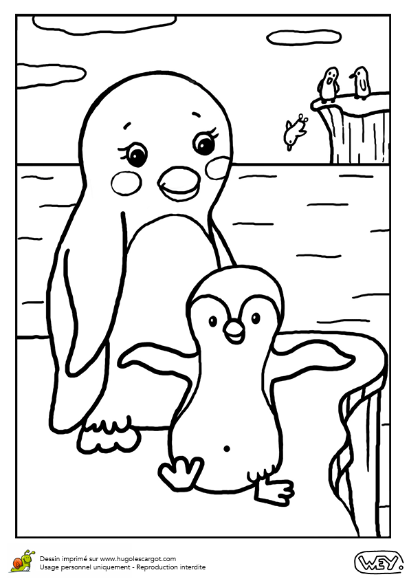 dessin pingouins de madagascar