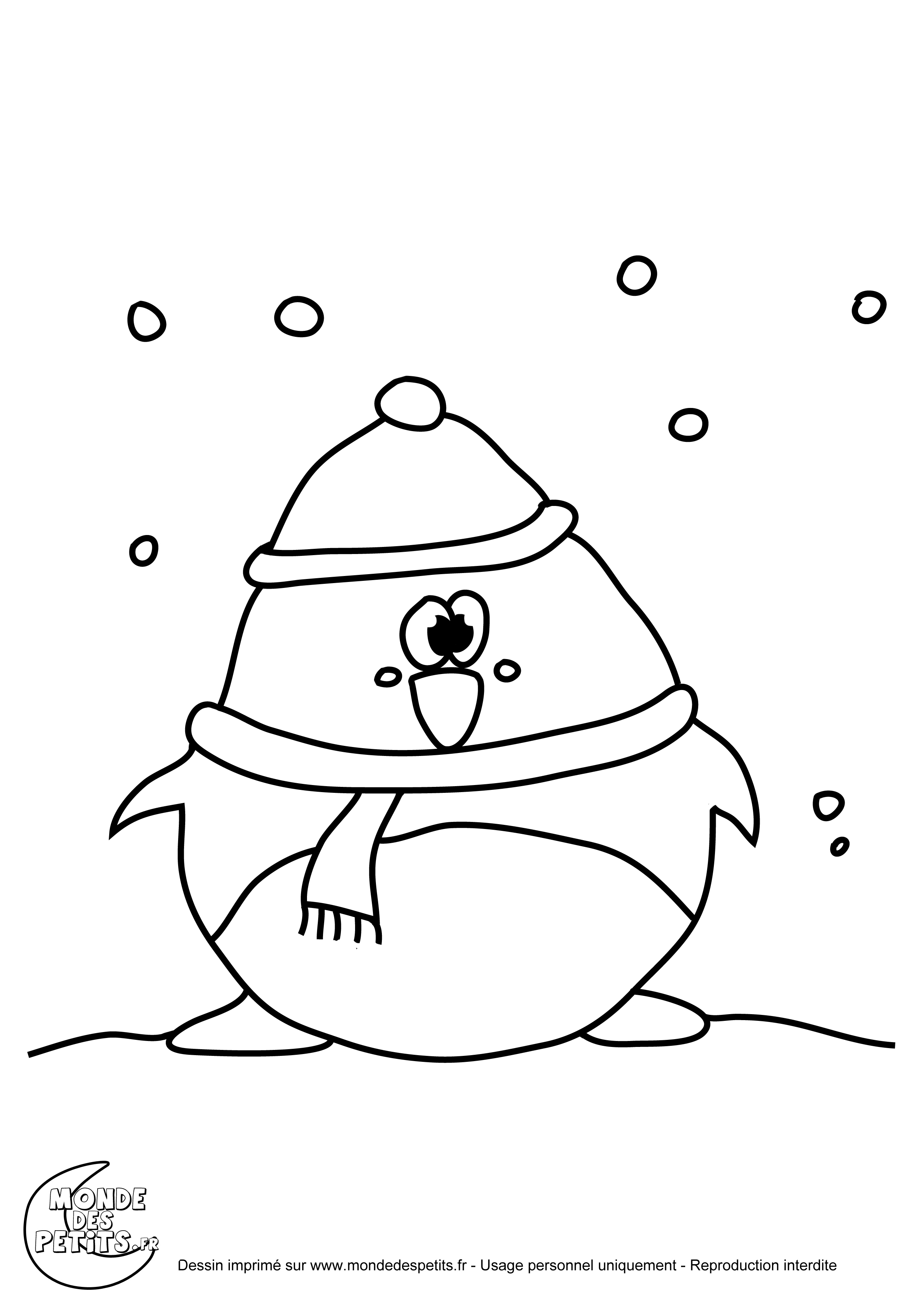 coloriage pingouin a imprimer gratuit