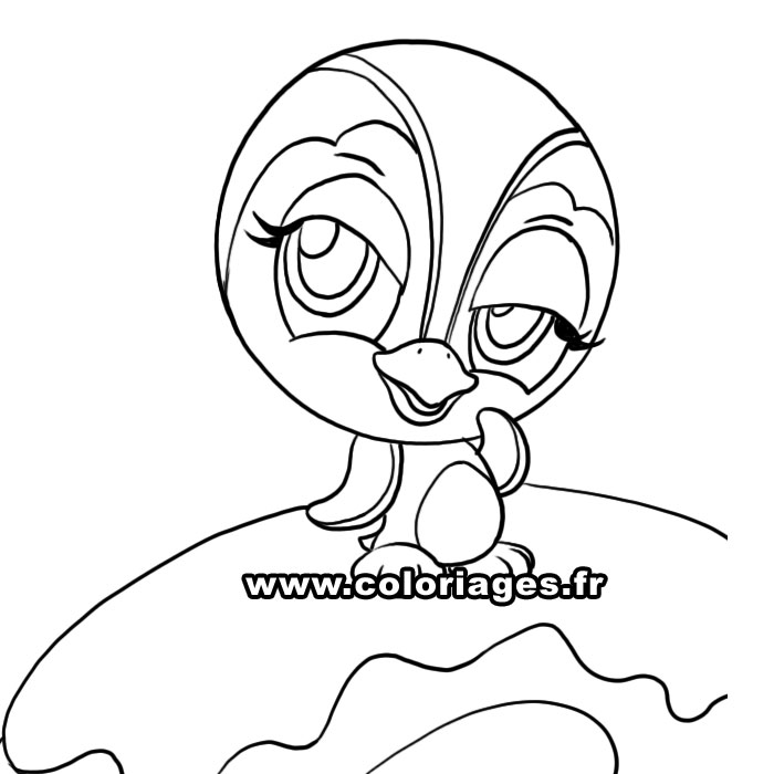 dessin jasper le pingouin