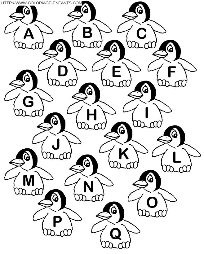 dessin mandala pingouin