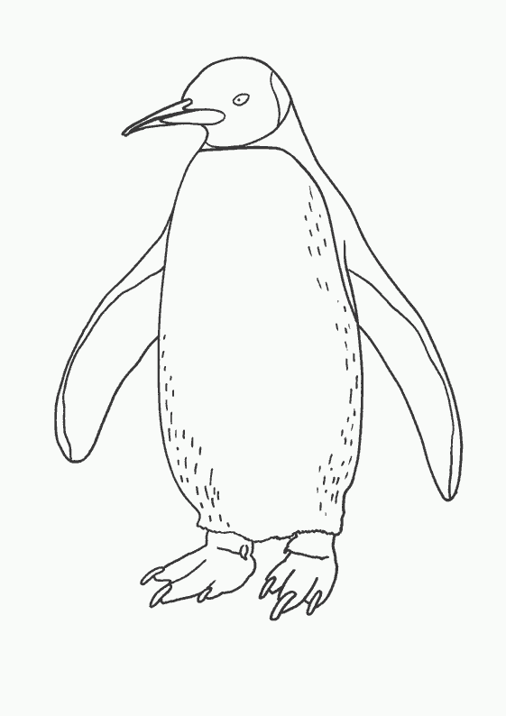 coloriage pingouin de pittsburgh