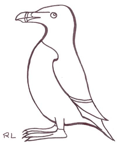 dessin pingouin banquise