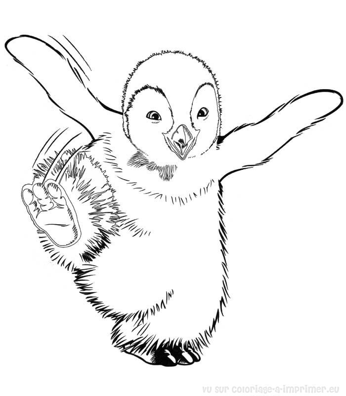 dessin bébé pingouin