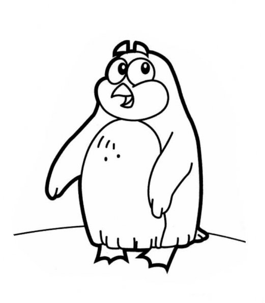 dessin animaux pingouin