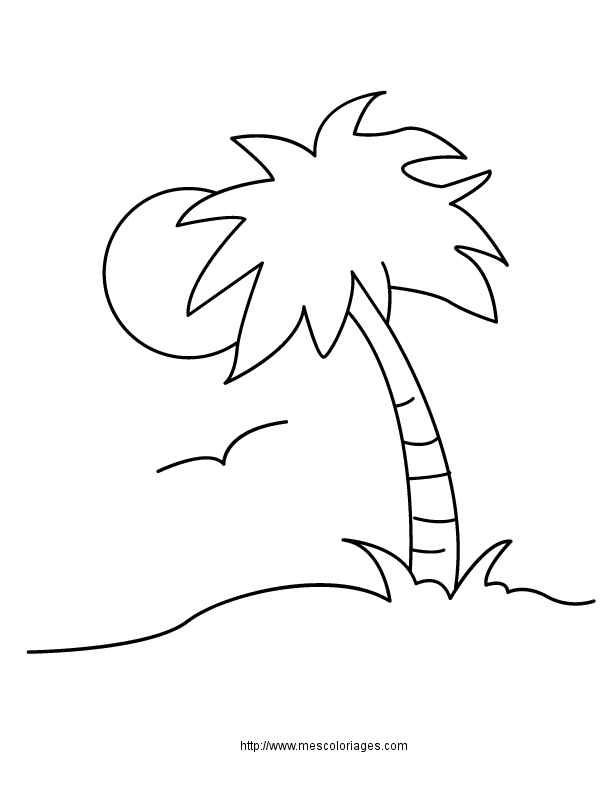 coloriage plage palmier