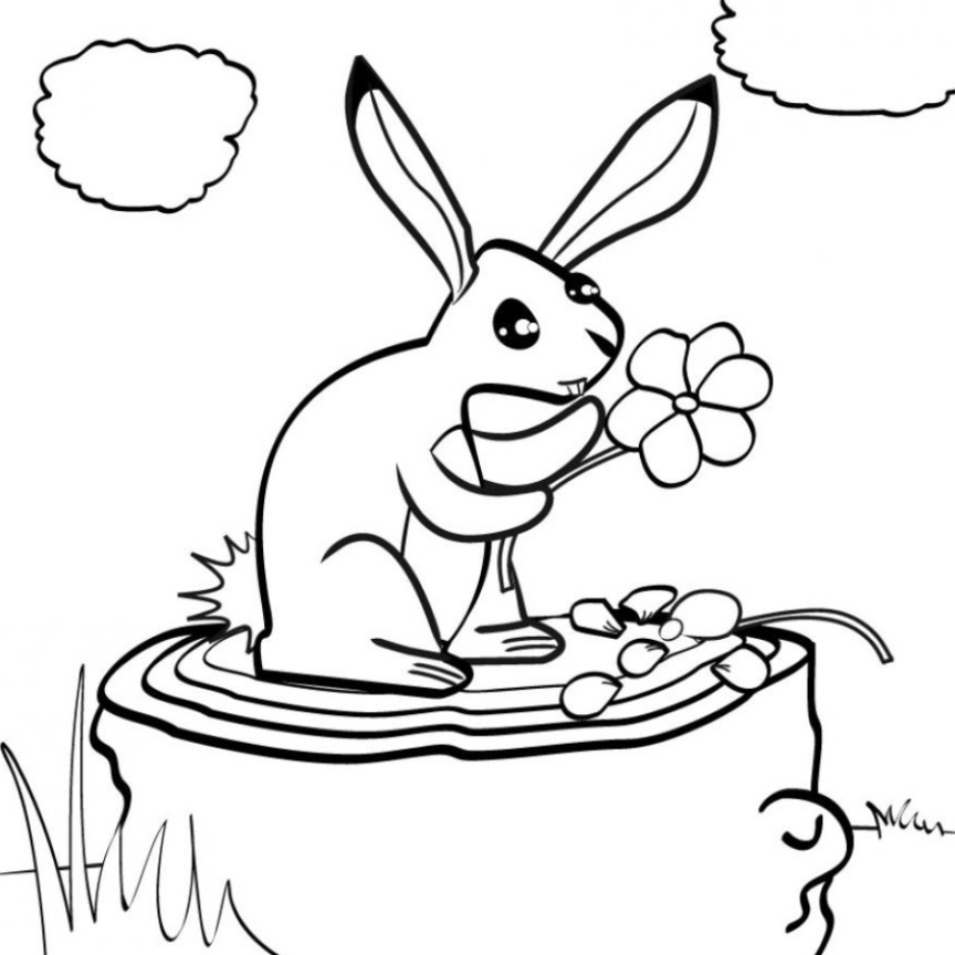 96 dessins de coloriage Plante Carnivore à imprimer coloriage plante carnivore