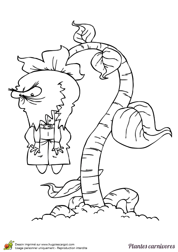 Dessin Disney Coloriage A Imprimer Plante Vs Zombie