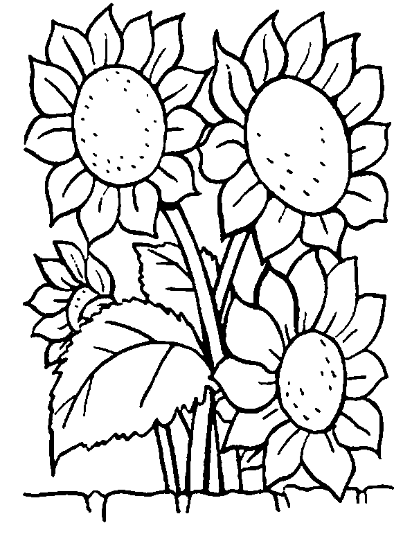 107 Dessins De Coloriage Plante A Imprimer 107 Dessins De Coloriage Plante A Imprimer