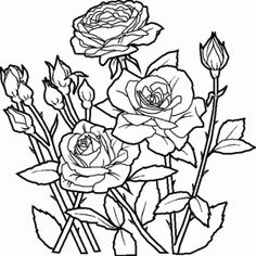 Coloriage Plantes Imprimer Coloriage Plantes Imprimer