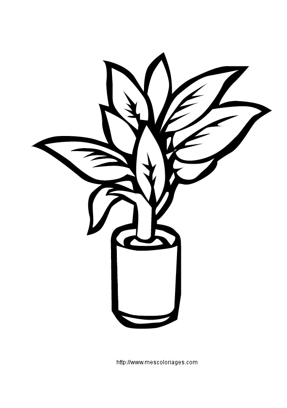 107 Dessins De Coloriage Plante A Imprimer