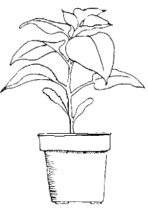 106 dessins de coloriage Plante à imprimer