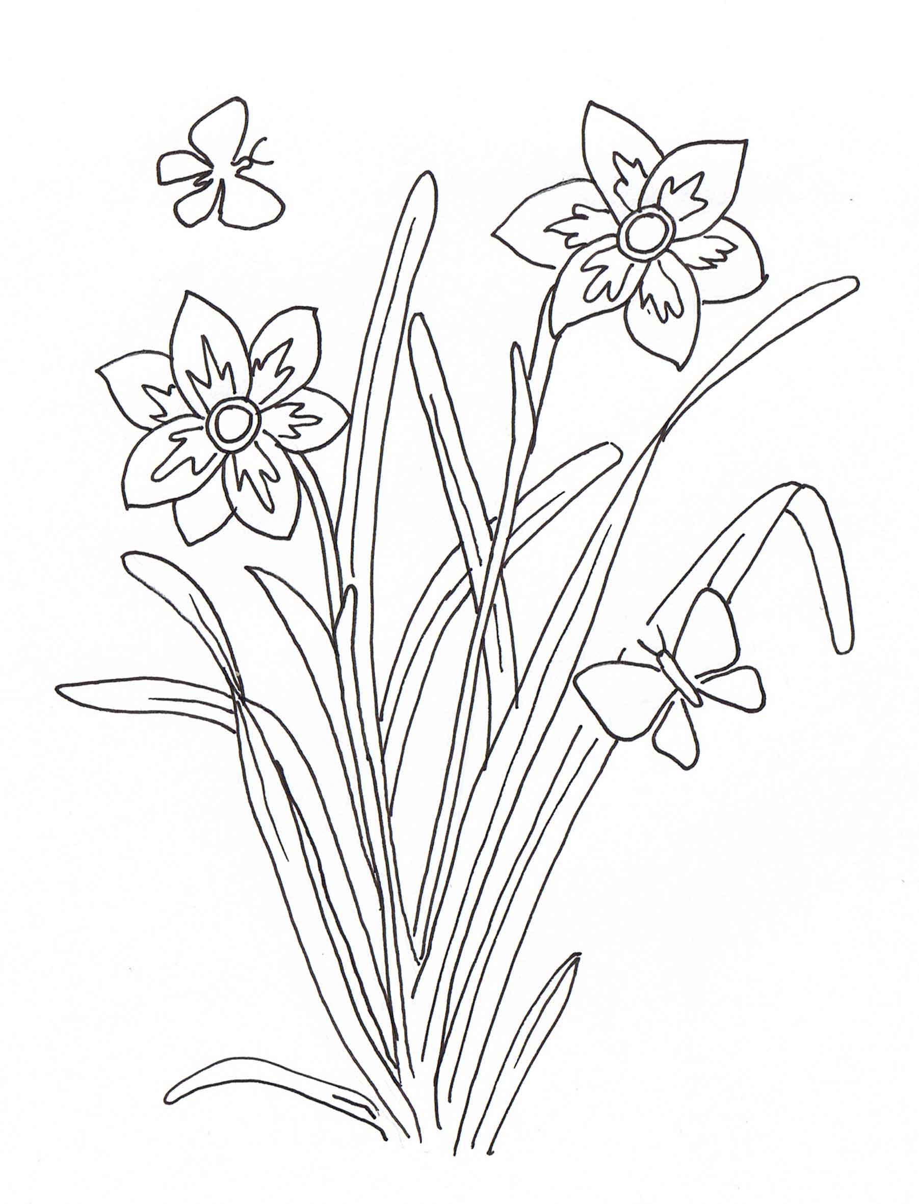 coloriage a imprimer plante