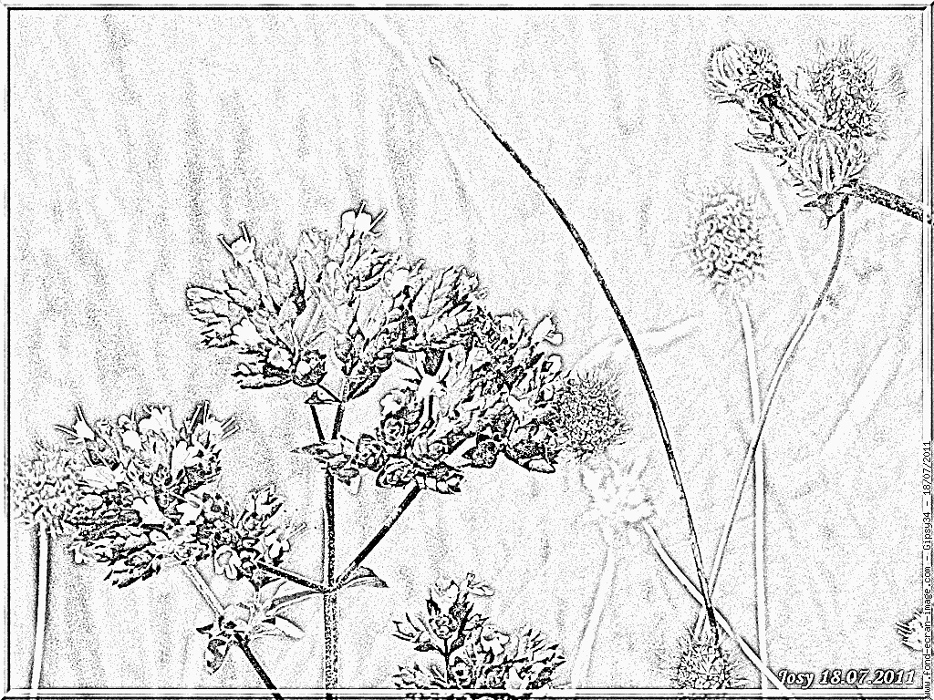 dessin plante a imprimer dessin plante a imprimer