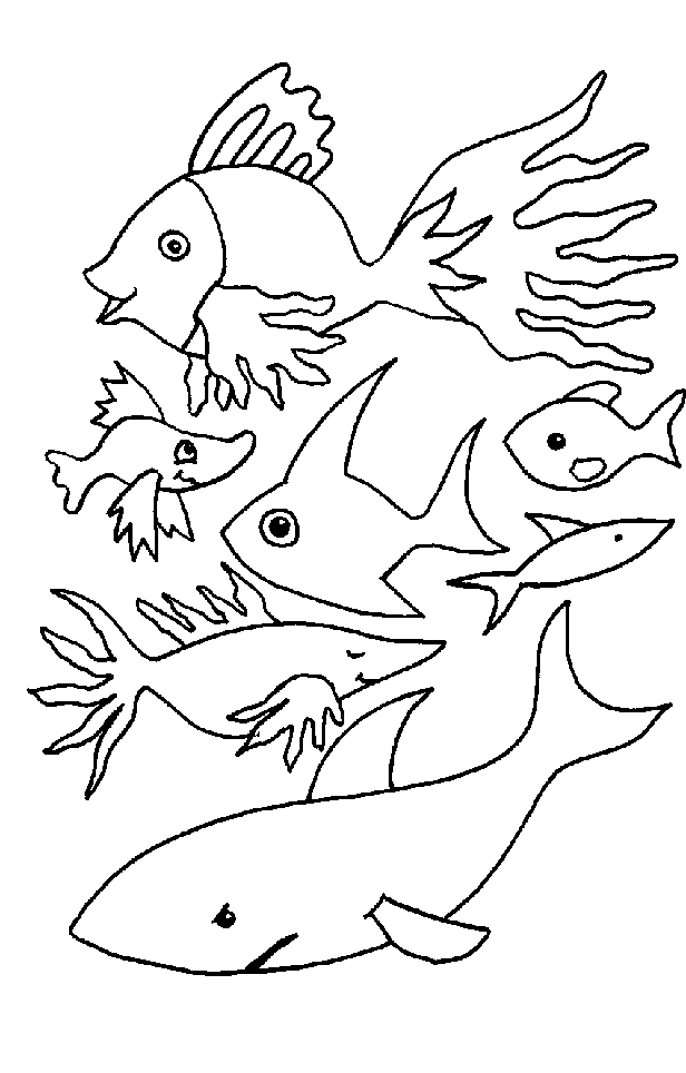 dessin  colorier gratuit poisson d'avril
