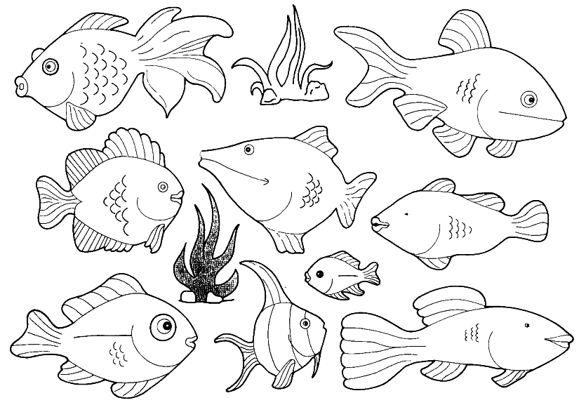 coloriage poisson d'avril rigolo