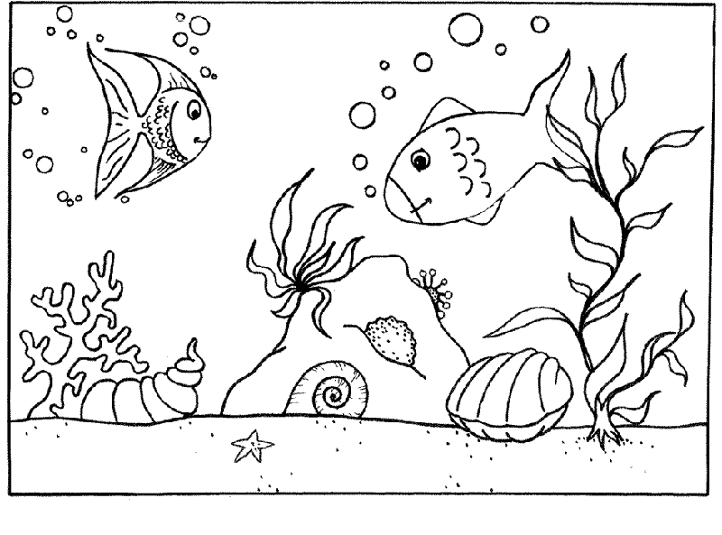 coloriage poisson davril tfou