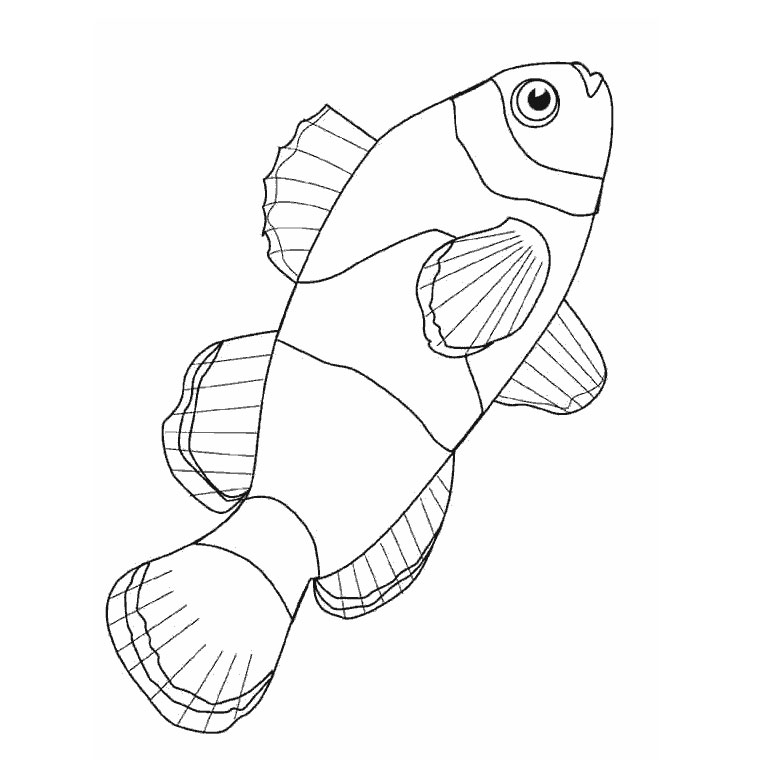 coloriage de poisson rouge dans un bocal