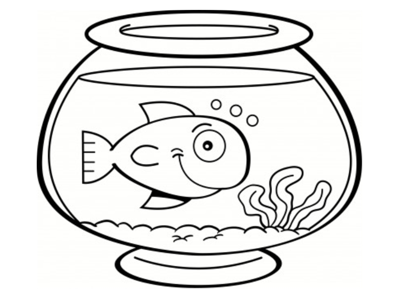 poisson rouge jeux coloriage