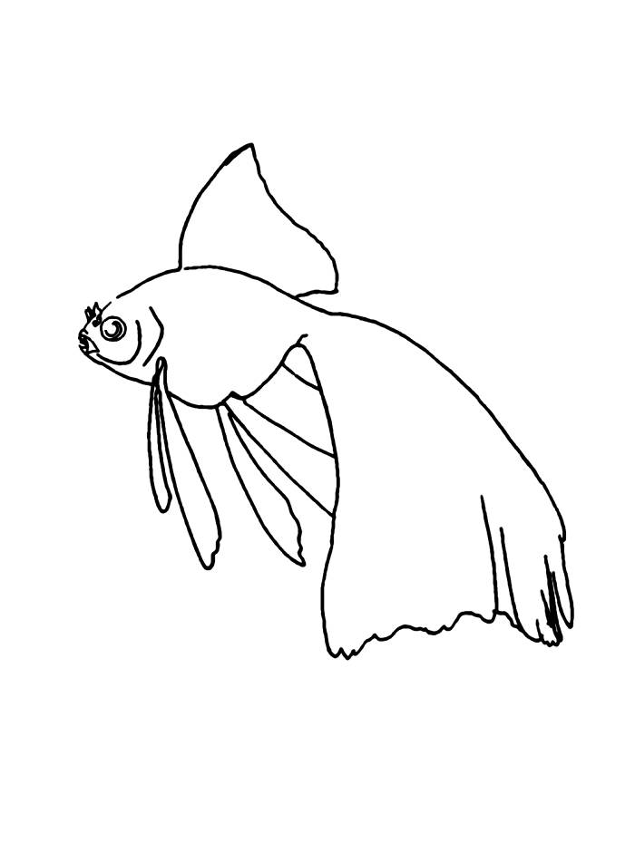 dessin à colorier a imprimer poisson rouge