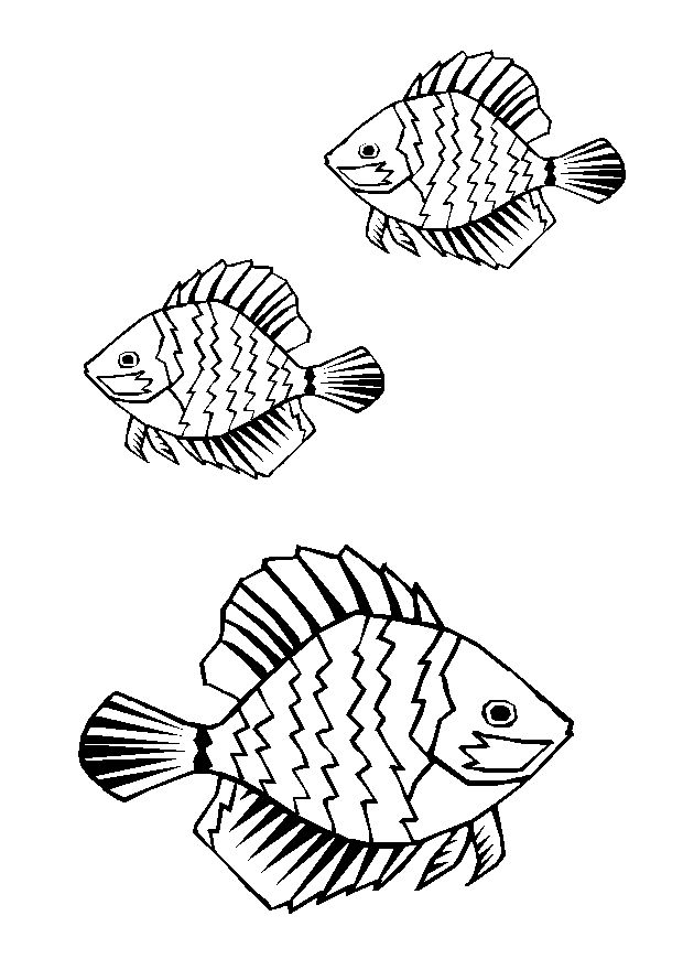 dessin poisson rouge imprimer