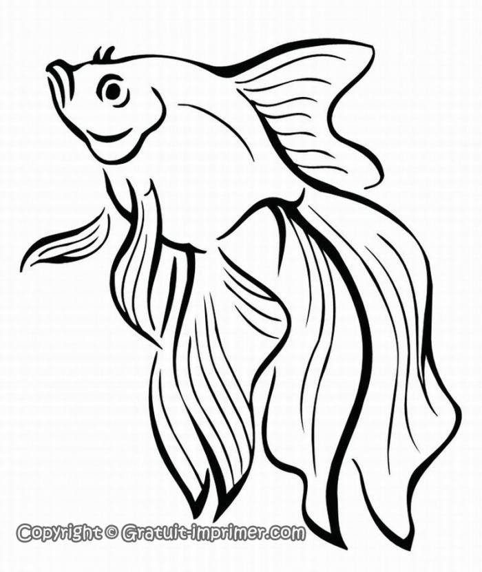 dessin imprimer poisson rouge