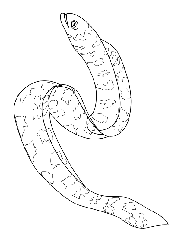coloriage poisson pdf coloriage poisson pdf