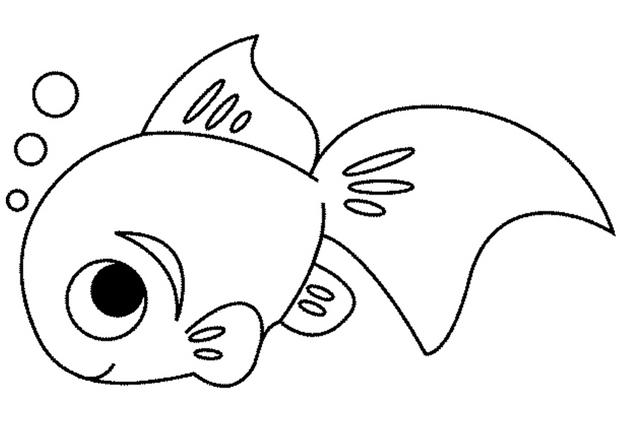 coloriage  dessiner poissons tropicaux imprimer