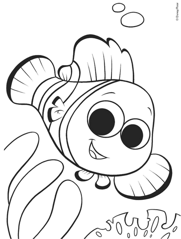 coloriage petit poisson blanc