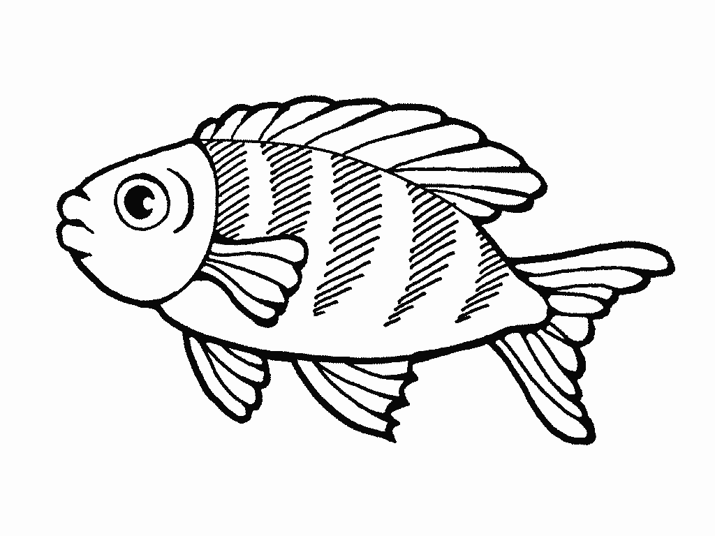 coloriage poisson et coquillage