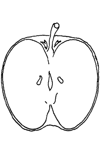 dessin pomme de pin