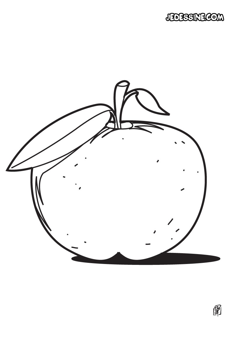 coloriage à dessiner pomme de pin