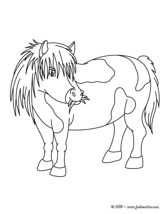 coloriage poney ville