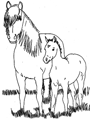 Coloriage A Imprimer Poney Gratuit