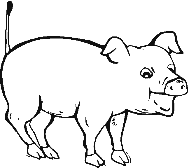 coloriage à dessiner porc epic