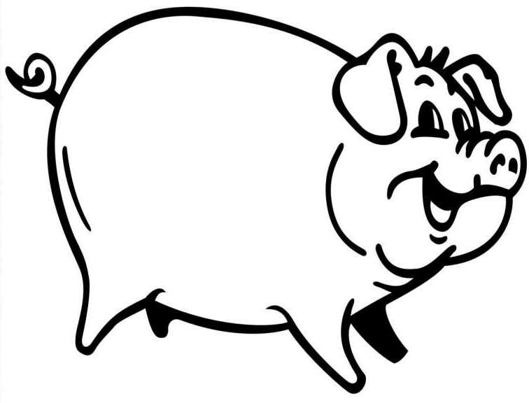 dessin porc