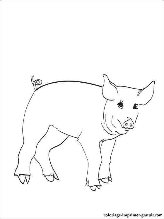 dessin � colorier porcinet