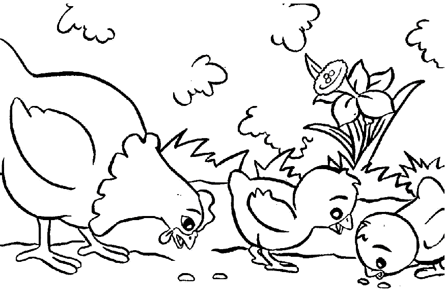 20 dessins de coloriage Poule Rousse à imprimer coloriage poule rousse