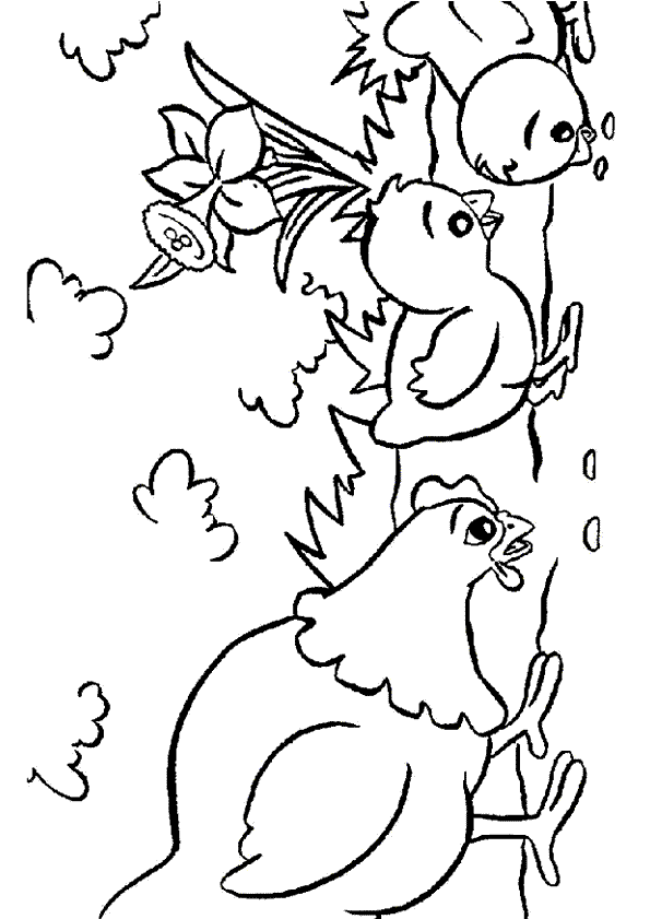 20 dessins de coloriage Poule Rousse à imprimer coloriage poule rousse