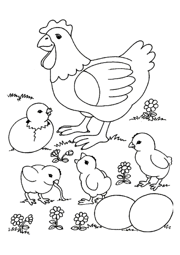 dessin à colorier poule et poussin a imprimer