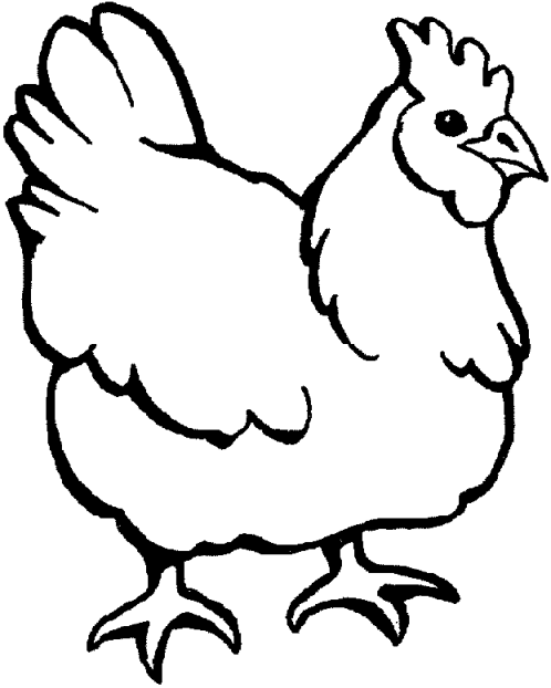 coloriage poule simple