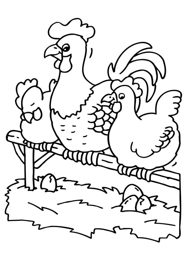 dessin magique poule