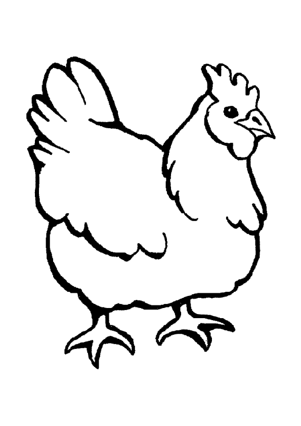 dessin  colorier poule avec oeuf