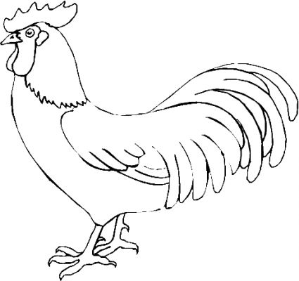 coloriage à dessiner poule à imprimer