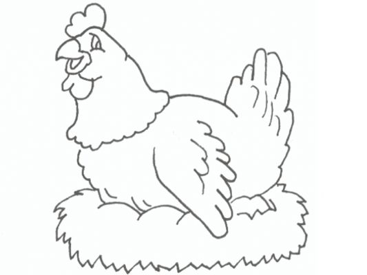 dessin à colorier de poule coq et poussin